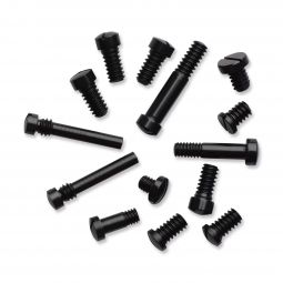 Dragoon Screw Kit